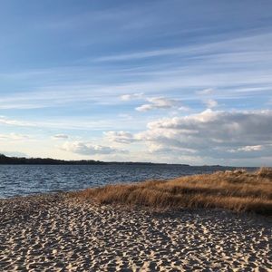 Meet your Posher, Chelsea